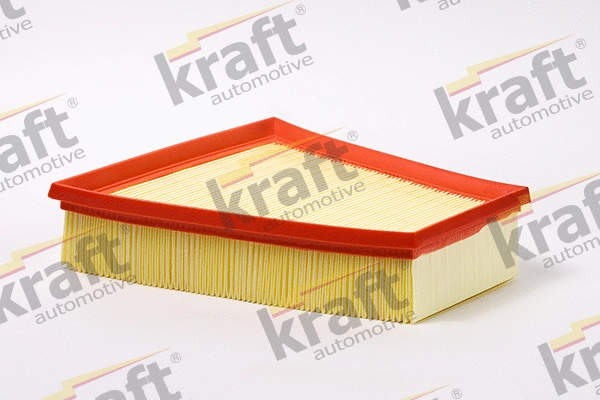 Air Filter (1716510)