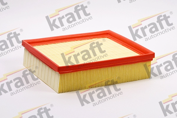 Air Filter (1705163)