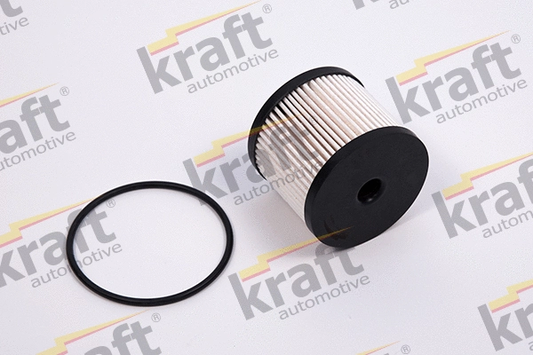 Fuel Filter (1725581)