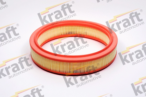 Air Filter (1713245)