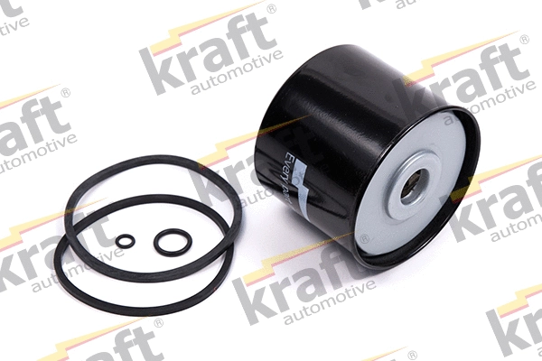 Fuel Filter (1720050)