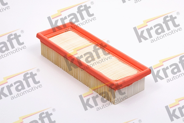 Air Filter (1713240)