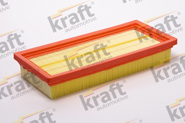 Air Filter (1713035)