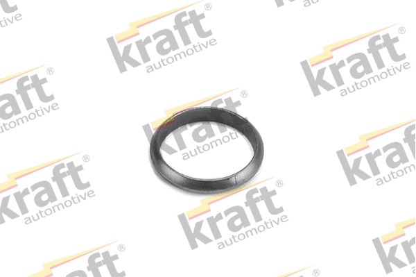 Seal Ring, exhaust pipe (0532540)