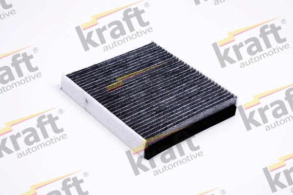 Filter, cabin air (1732051)