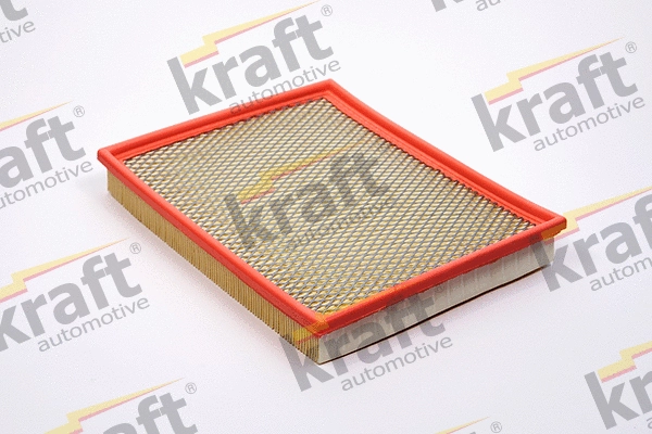 Air Filter (1715002)