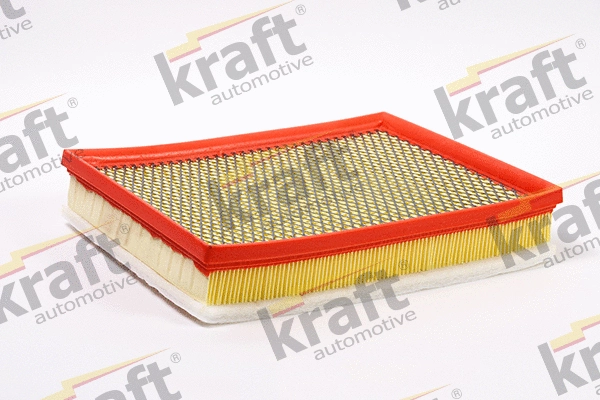 Air Filter (1711574)