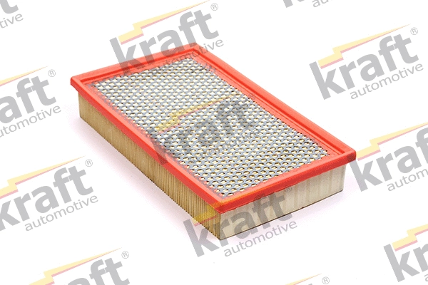 Air Filter (1711020)