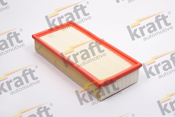 Air Filter (1715580)