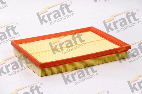 Air Filter (1711592)