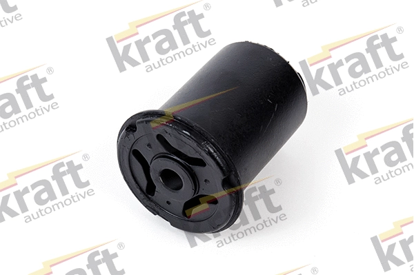 Bushing, axle beam (4230570)