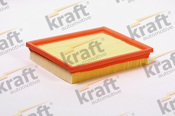 Air Filter (1711590)