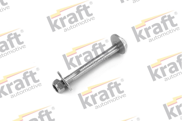 Mounting and Bolting Kit, control/trailing arm (4241260)