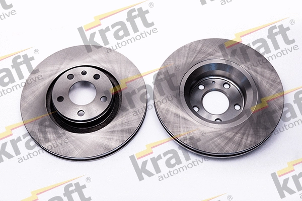 Brake Disc (6040542)