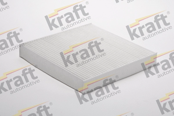 Filter, cabin air (1735025)