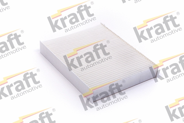 Filter, cabin air (1732023)