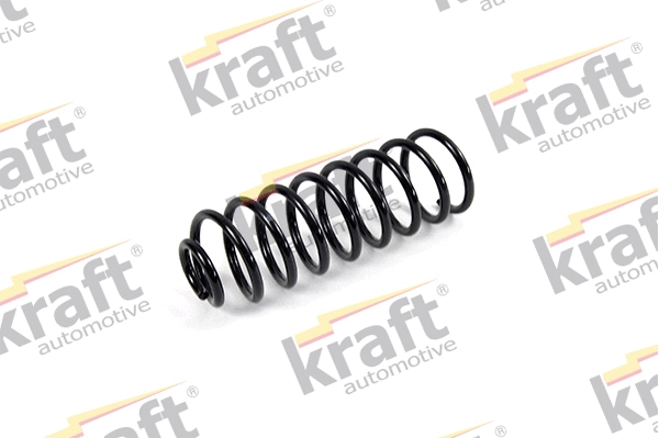 Suspension Spring (4030111)