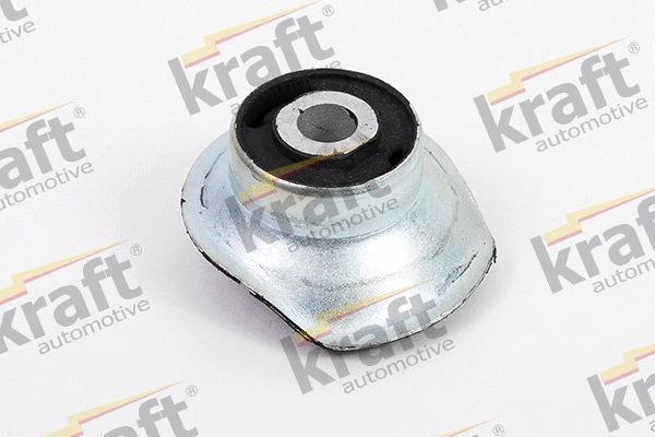 Bushing, axle beam (4230550)