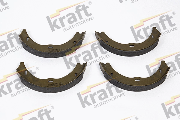 Brake Shoe Set, parking brake (6021018)