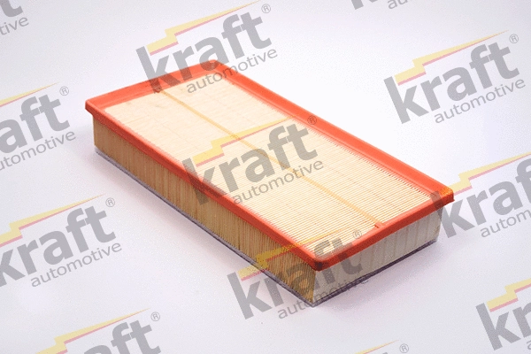Air Filter (1710350)