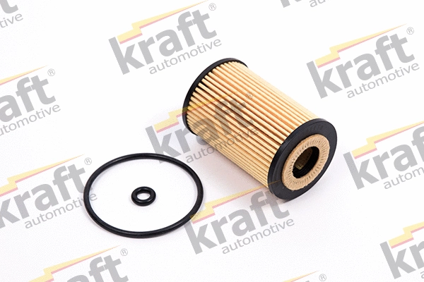 Oil Filter (1701170)