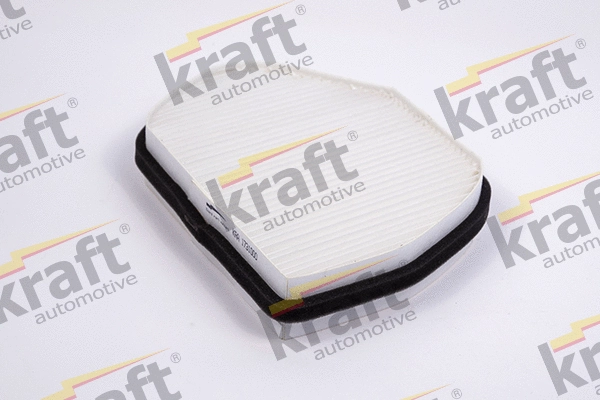 Filter, cabin air (1731000)