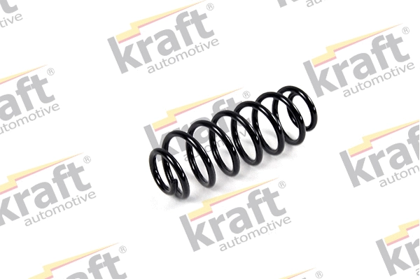 Suspension Spring (4035505)