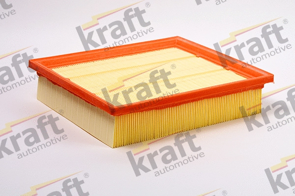 Air Filter (1710620)