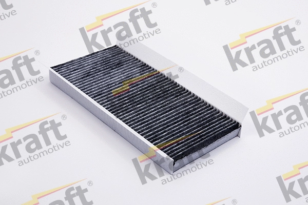 Filter, cabin air (1732041)