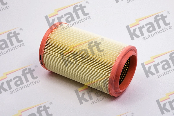 Air Filter (1716871)