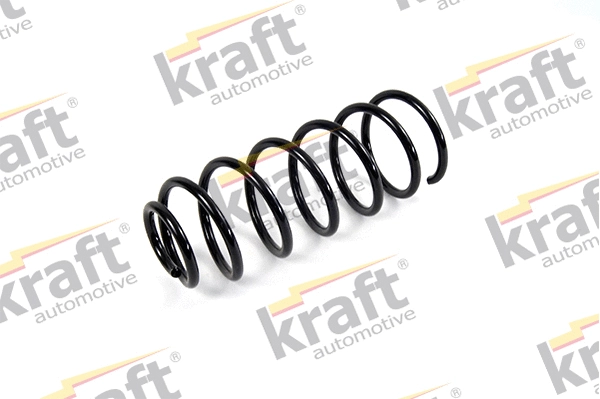 Suspension Spring (4020510)