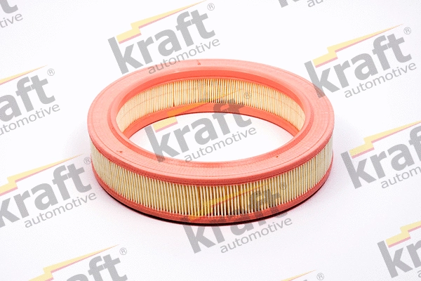 Air Filter (1715070)
