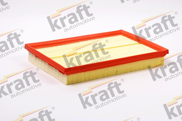 Air Filter (1716530)