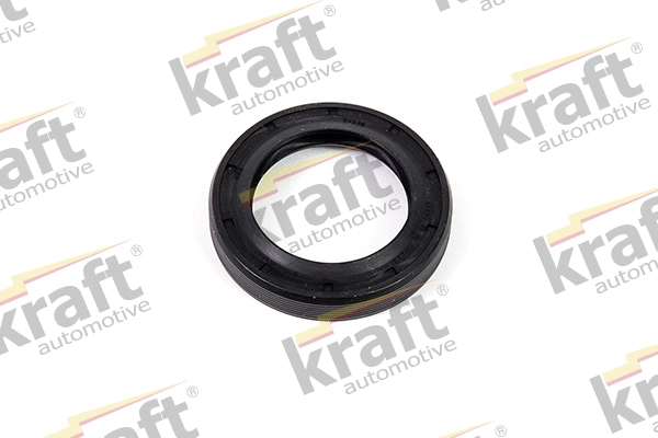 Shaft Seal, differential (1150170)