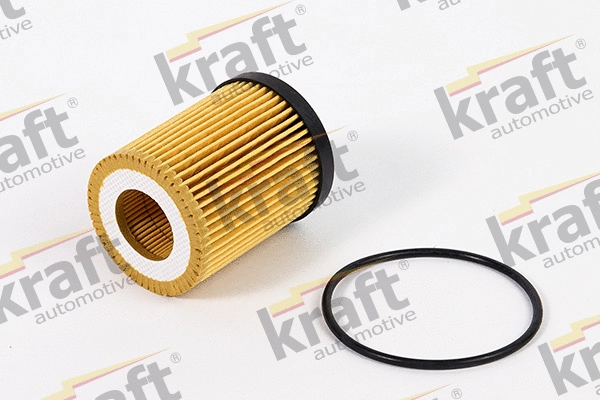 Oil Filter (1701522)