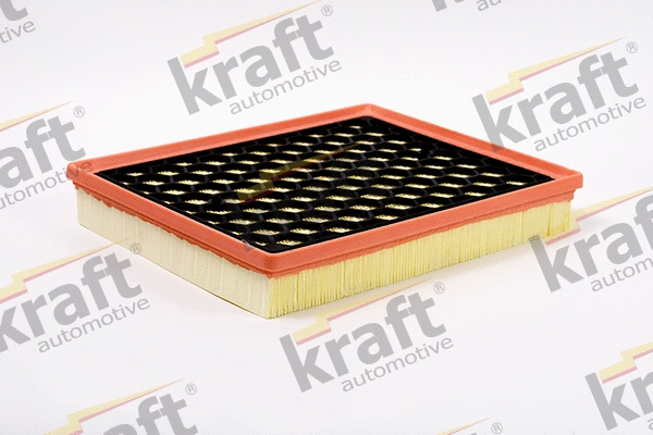 Air Filter (1711810)