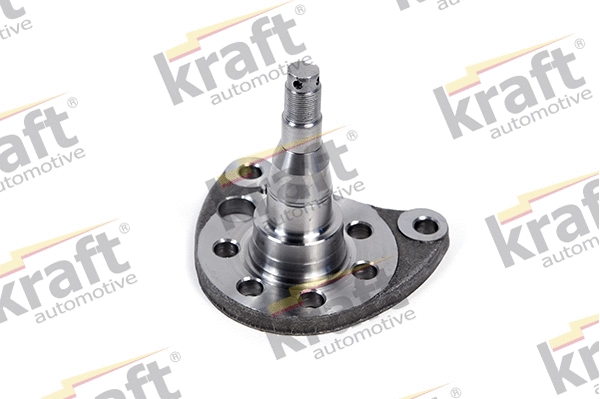 Steering Knuckle, wheel suspension (4200370)
