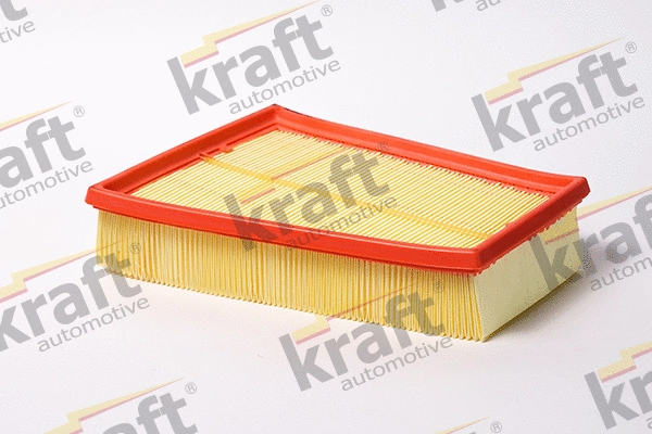 Air Filter (1715018)