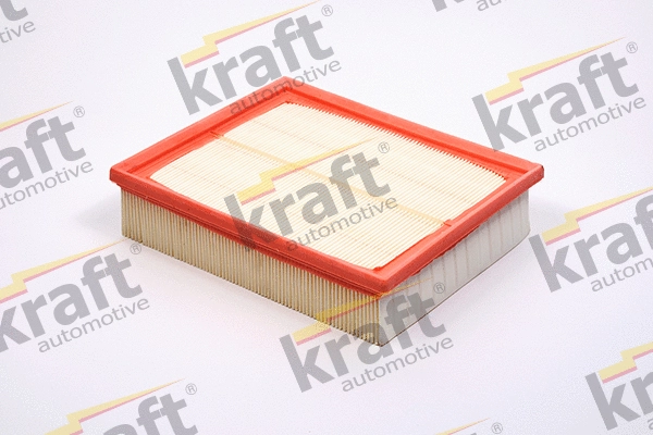 Air Filter (1711621)