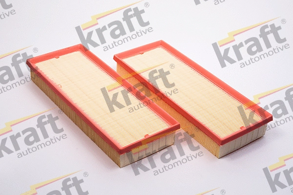 Air Filter (1711342)