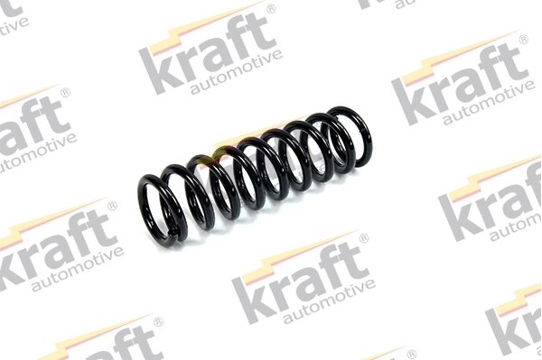 Suspension Spring (4031141)