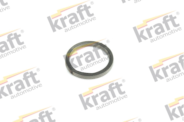 Seal Ring, exhaust pipe (0533540)