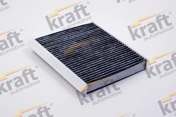 Filter, cabin air (1732085)