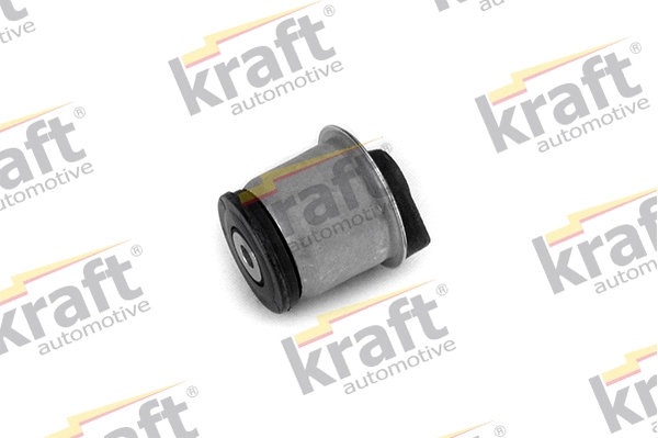 Bushing, axle beam (4231900)