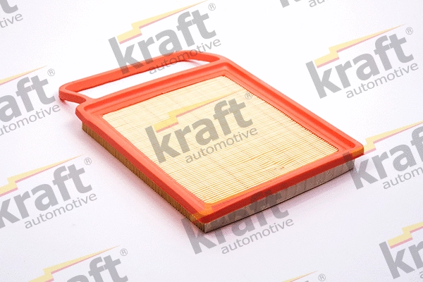 Air Filter (1716540)