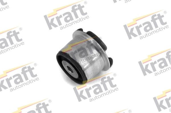 Bushing, axle beam (4231860)