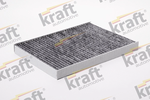 Filter, cabin air (1730012)