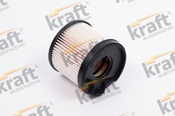 Fuel Filter (1725580)