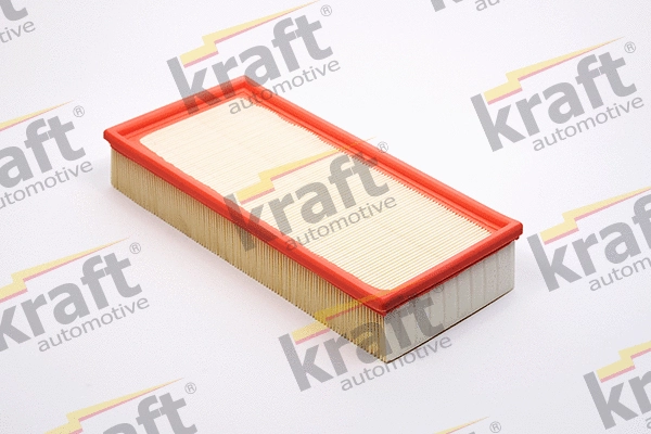 Air Filter (1715910)