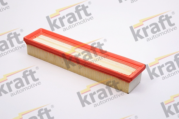 Air Filter (1715076)